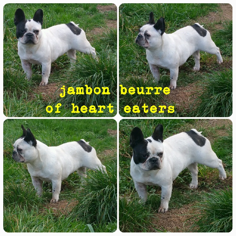 Jambon beurre Of Heart Eaters